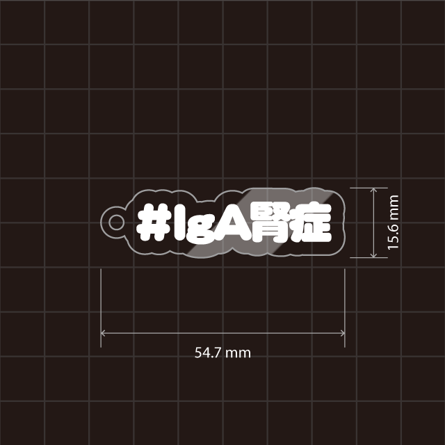 #IgA腎症キーホルダー