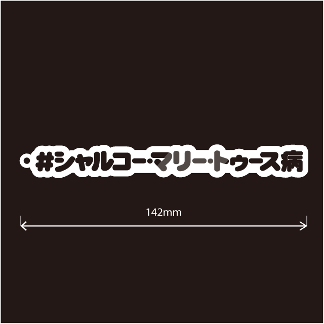 003シャルコー・マリー・トゥース病キーホルダー