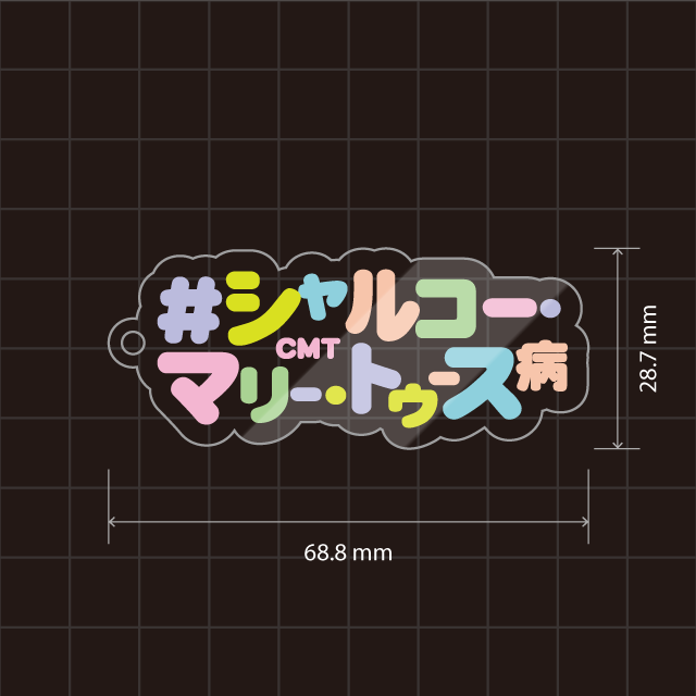 003シャルコー・マリー・トゥース病キーホルダー