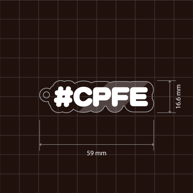 CPFE（気腫合併肺線維症）キーホルダー