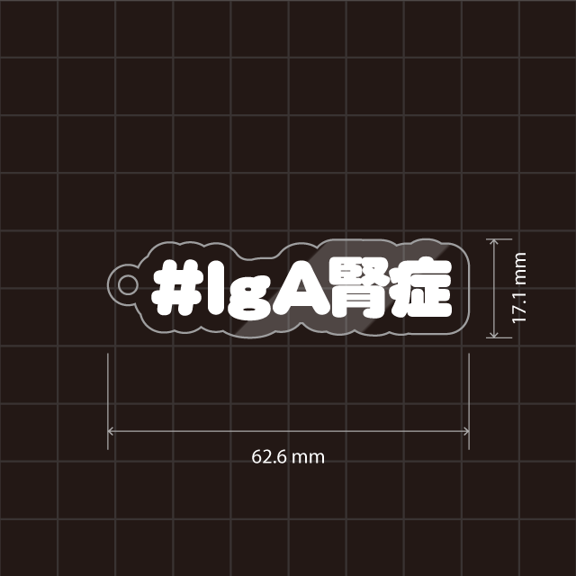 ＃IｇＡ腎症キーホルダー