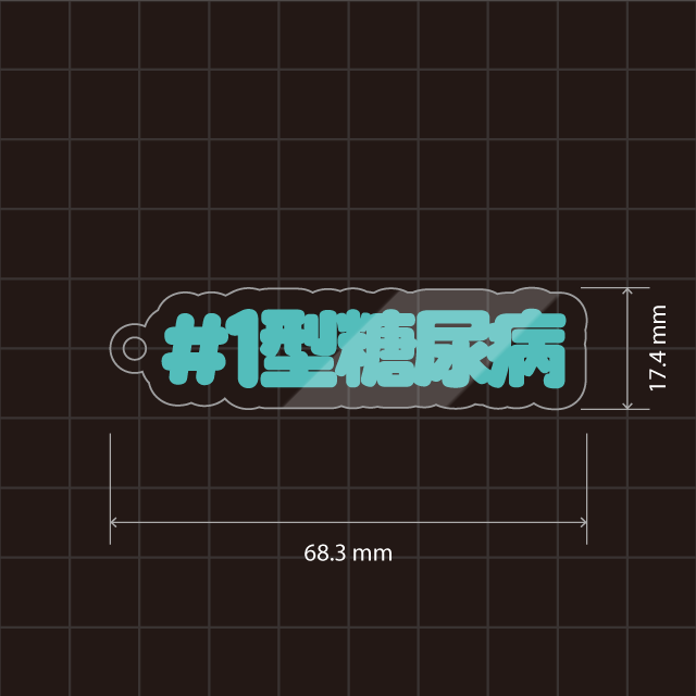 Type1Diabetes ・T１D・１型糖尿病キーホルダー